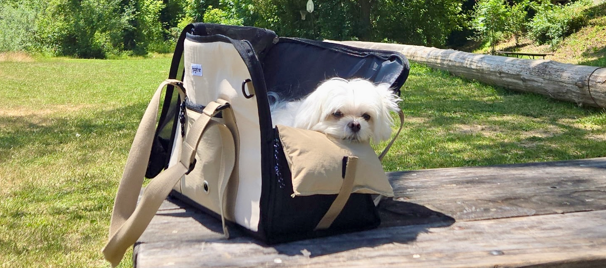 Why We Designed a Pet Carrier That Doesn’t Collapse