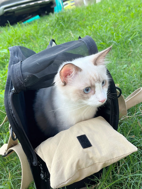 see ya later pet carrier