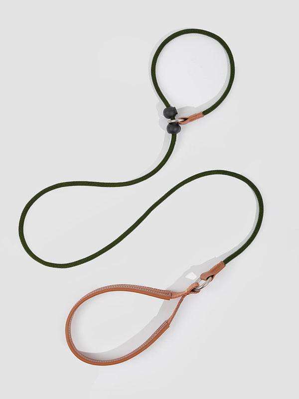 stop & go no-pull learning leash