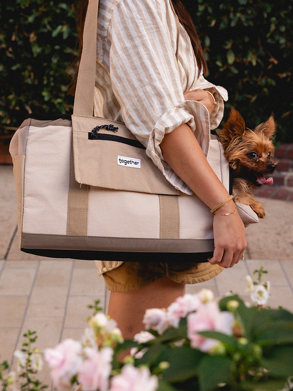 hello sunday pet tote bag
