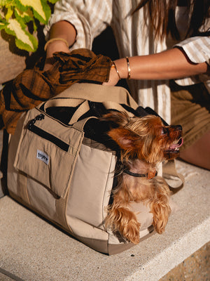 hello sunday pet tote bag