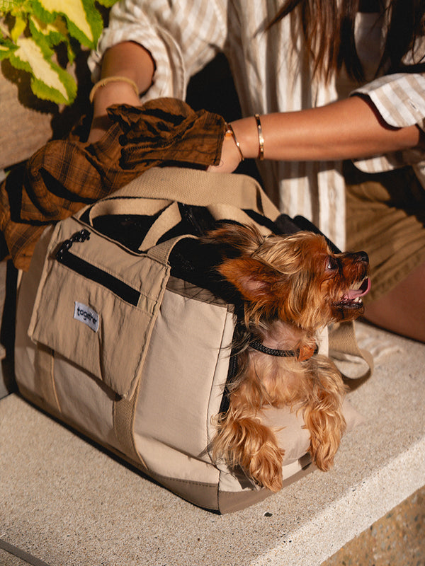 hello sunday pet tote bag