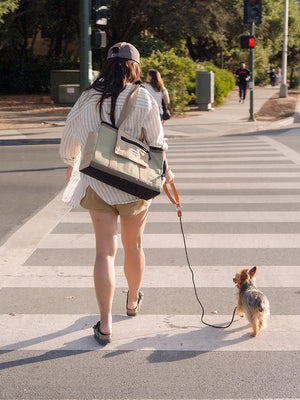hello sunday pet tote bag