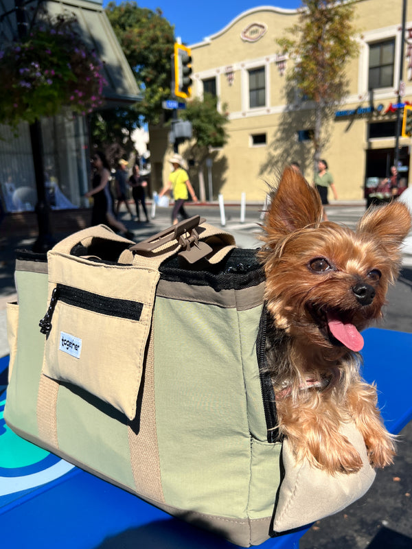 hello sunday pet tote bag