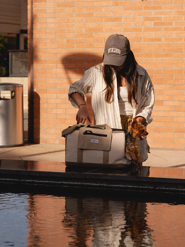 hello sunday pet tote bag
